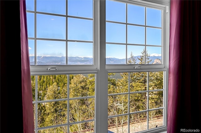 11770 Leavenworth Dr, Conifer, CO 80433 - view of details