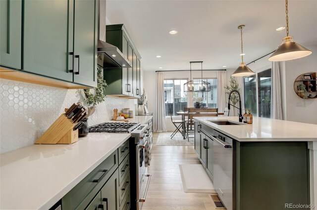 kitchen with light wood-type flooring, green cabinets, stainless steel appliances, and sink