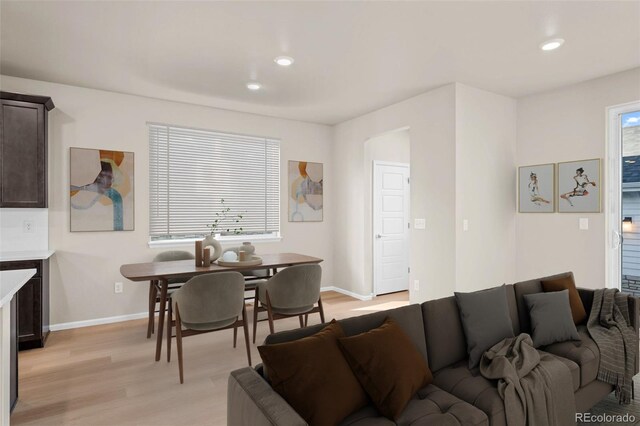 living room featuring light hardwood / wood-style flooring