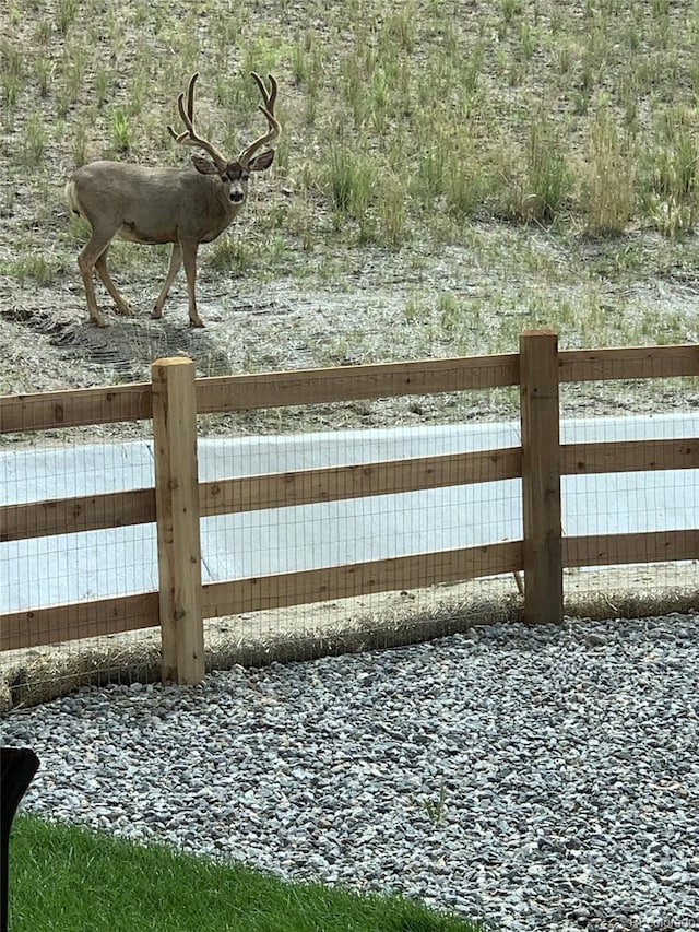 547 Scrubjay Cir, Castle Rock, CO 80104 - view of gate