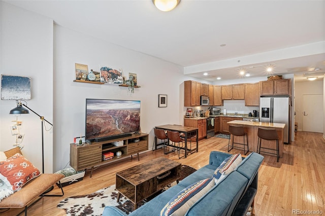 living room featuring light hardwood / wood-style floors