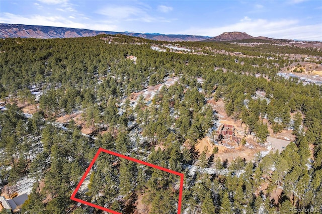 648 Poncho Rd, Larkspur CO, 80118 land for sale