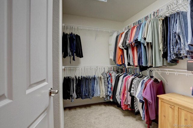10588 Parkington Ln Unit 39A, Highlands Ranch, CO 80126 - photo 22