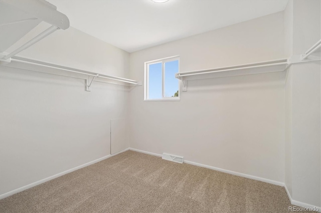 spacious closet with visible vents and carpet flooring