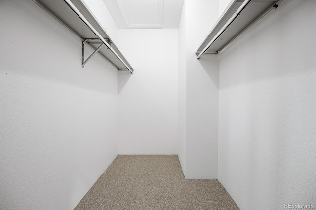 spacious closet with light carpet