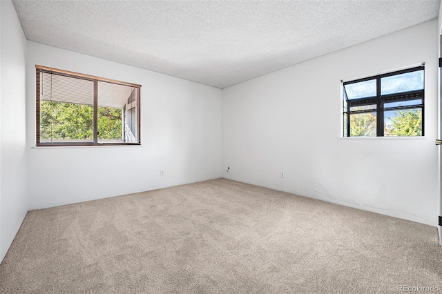 carpeted spare room featuring a wealth of natural light and a textured ceiling