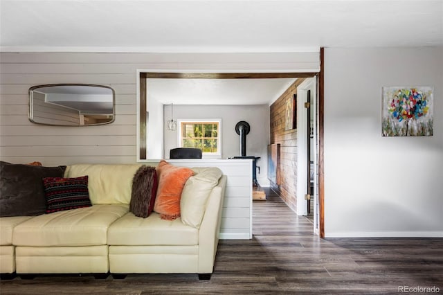133 Gold Run Rd, Alma, CO 80440 - photo 24