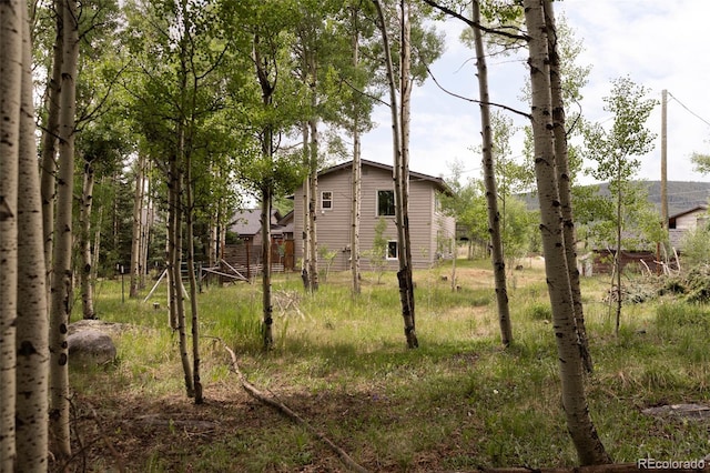 133 Gold Run Rd, Alma, CO 80440 - photo 38