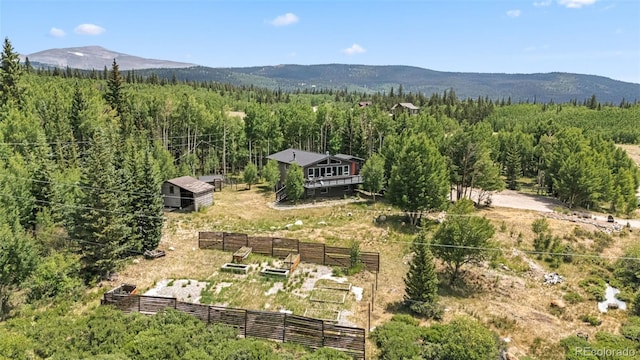 133 Gold Run Rd, Alma, CO 80440 - photo 46