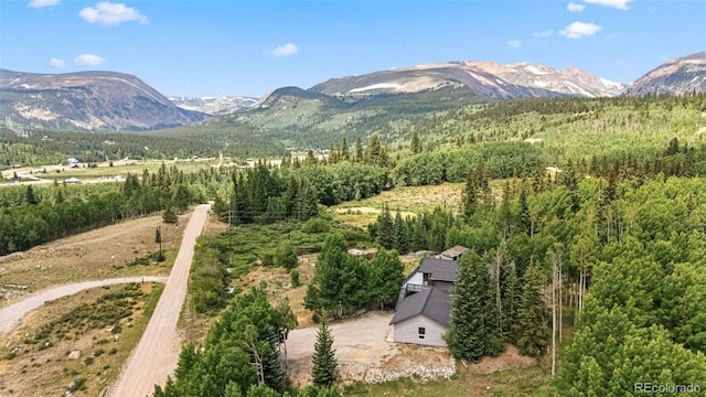 133 Gold Run Rd, Alma, CO 80440 - photo 48