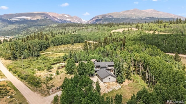 133 Gold Run Rd, Alma, CO 80440 - photo 49