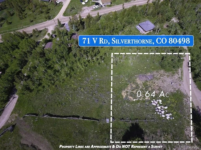 71 V Rd, Silverthorne, CO 80498