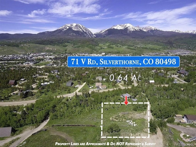 71 V Rd, Silverthorne, CO 80498