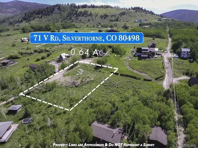71 V Rd, Silverthorne, CO 80498