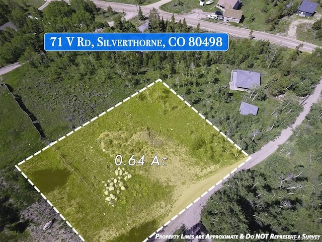 71 V Rd, Silverthorne, CO 80498