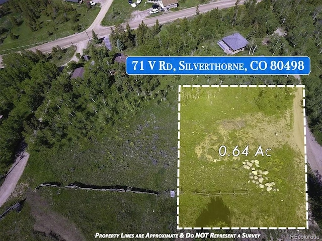 71 V Rd, Silverthorne, CO 80498