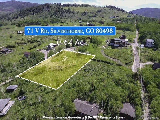 71 V Rd, Silverthorne, CO 80498