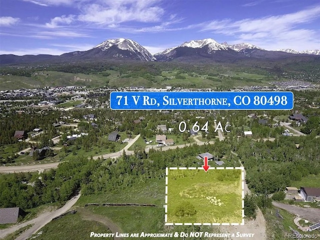 71 V Rd, Silverthorne, CO 80498