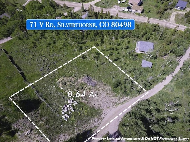 71 V Rd, Silverthorne, CO 80498