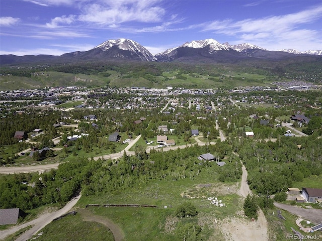 71 V Rd, Silverthorne, CO 80498