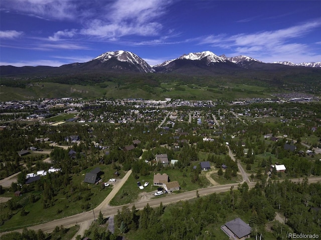 71 V Rd, Silverthorne, CO 80498