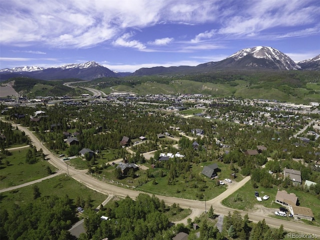 71 V Rd, Silverthorne, CO 80498