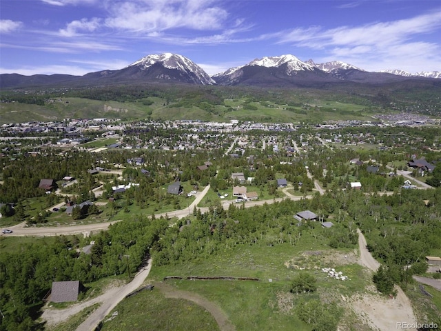 71 V Rd, Silverthorne, CO 80498