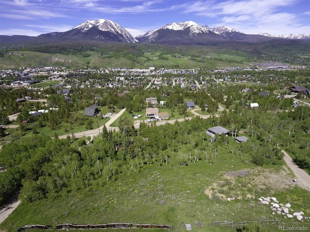 71 V Rd, Silverthorne, CO 80498