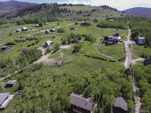 71 V Rd, Silverthorne, CO 80498