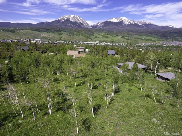 71 V Rd, Silverthorne, CO 80498
