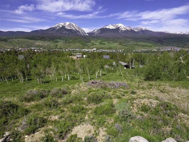 71 V Rd, Silverthorne, CO 80498