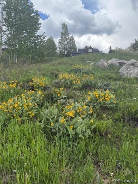 71 V Rd, Silverthorne, CO 80498