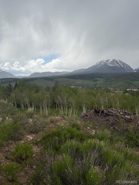 71 V Rd, Silverthorne, CO 80498