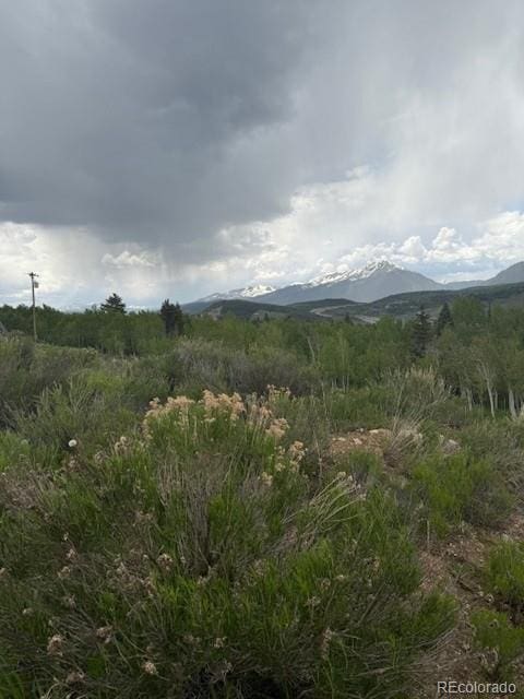 71 V Rd, Silverthorne, CO 80498