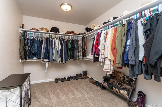 1136 Ptarmigan Dr, Woodland Park, CO 80863 - photo 22