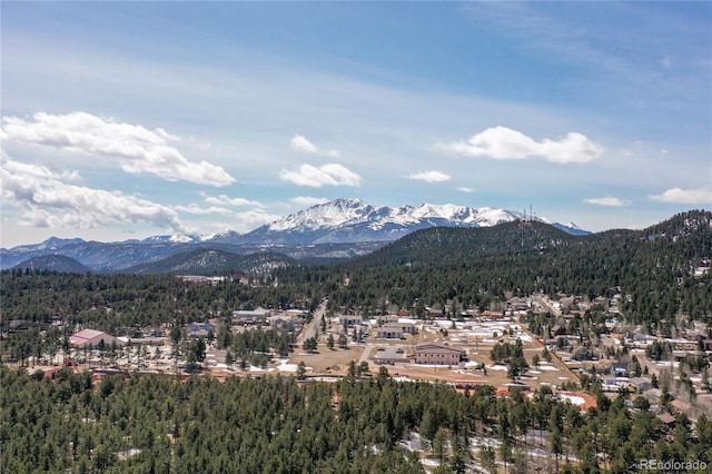 1136 Ptarmigan Dr, Woodland Park, CO 80863 - photo 35