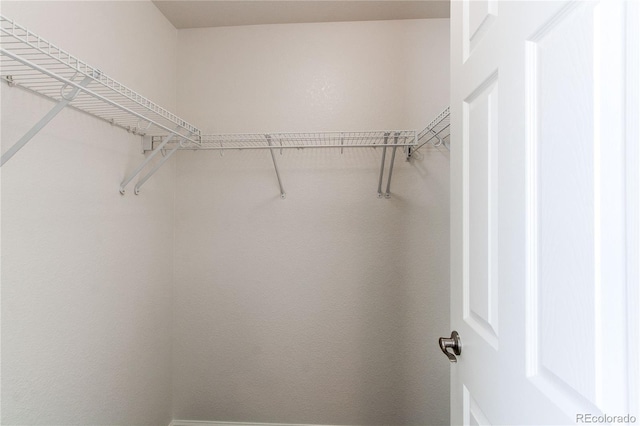 19043 E 58th Ave, Denver, CO 80249 - view of spacious closet