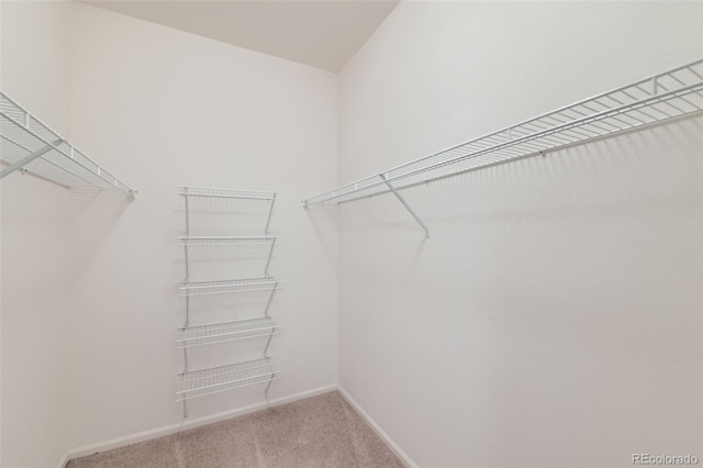 2900 Blue Sky Cir Unit 5-103, Erie, CO 80516 - photo 22