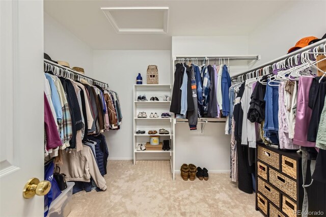 9458 S Hackberry Ln, Highlands Ranch, CO 80129 - spacious closet with attic access and carpet flooring