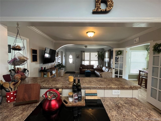 790 4th St, Limon, CO 80828 - kitchen with arched walkways, ornamental molding, baseboards, wood finished floors, and open floor plan