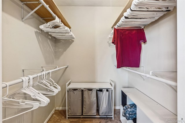 spacious closet with carpet flooring