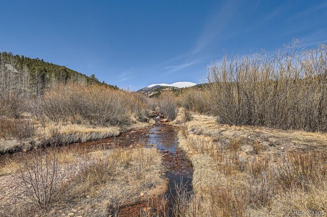 44 Forest Ridge Cir, Bailey, CO 80421 - mountain view