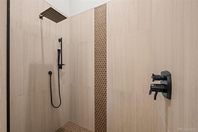 44 Forest Ridge Cir, Bailey, CO 80421 - bathroom with tiled shower
