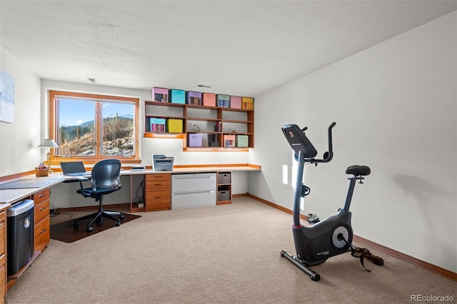 44 Forest Ridge Cir, Bailey, CO 80421 - office with light carpet, baseboards, and built in desk