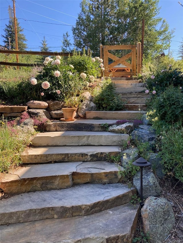44 Forest Ridge Cir, Bailey, CO 80421 - view of yard