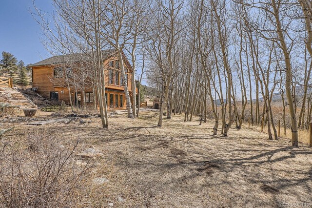 44 Forest Ridge Cir, Bailey, CO 80421 - view of yard