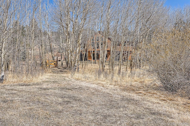 44 Forest Ridge Cir, Bailey, CO 80421 - view of undeveloped land