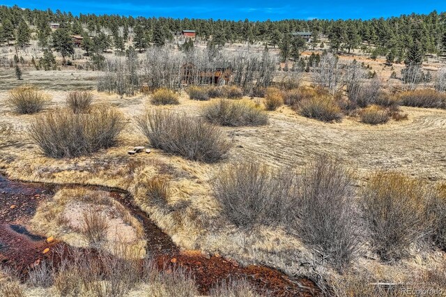 44 Forest Ridge Cir, Bailey, CO 80421 - mountain view