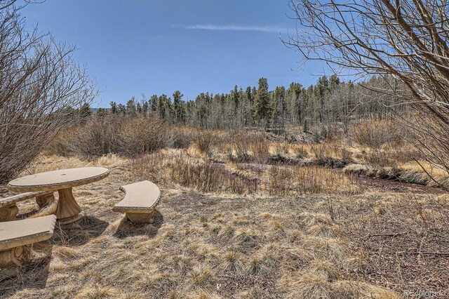 44 Forest Ridge Cir, Bailey, CO 80421 - view of yard