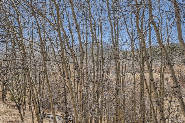 44 Forest Ridge Cir, Bailey, CO 80421 - water view
